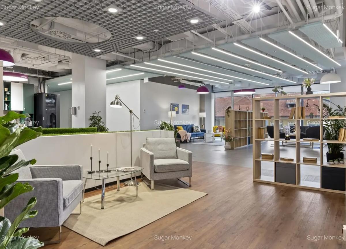 Birouri moderne, private în spațiu de Coworking de închiriat – Equilibrium - 8 Birouri moderne, private în spațiu de Coworking de închiriat – Equilibrium - 8