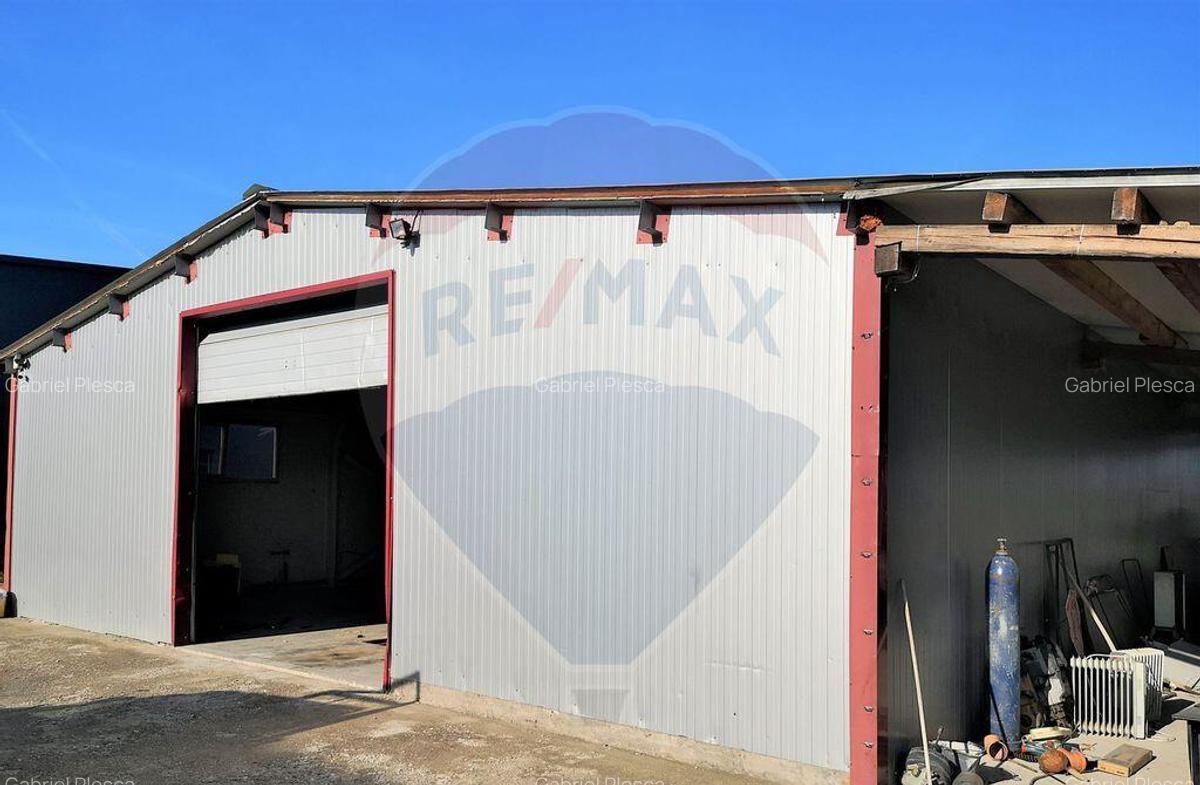 Hala Industriala, Parcul Industrial, Bor?, De Inchiriat - 17