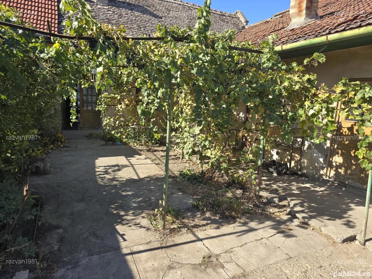 Vand casa in Jimbolia str Republicii. - 3