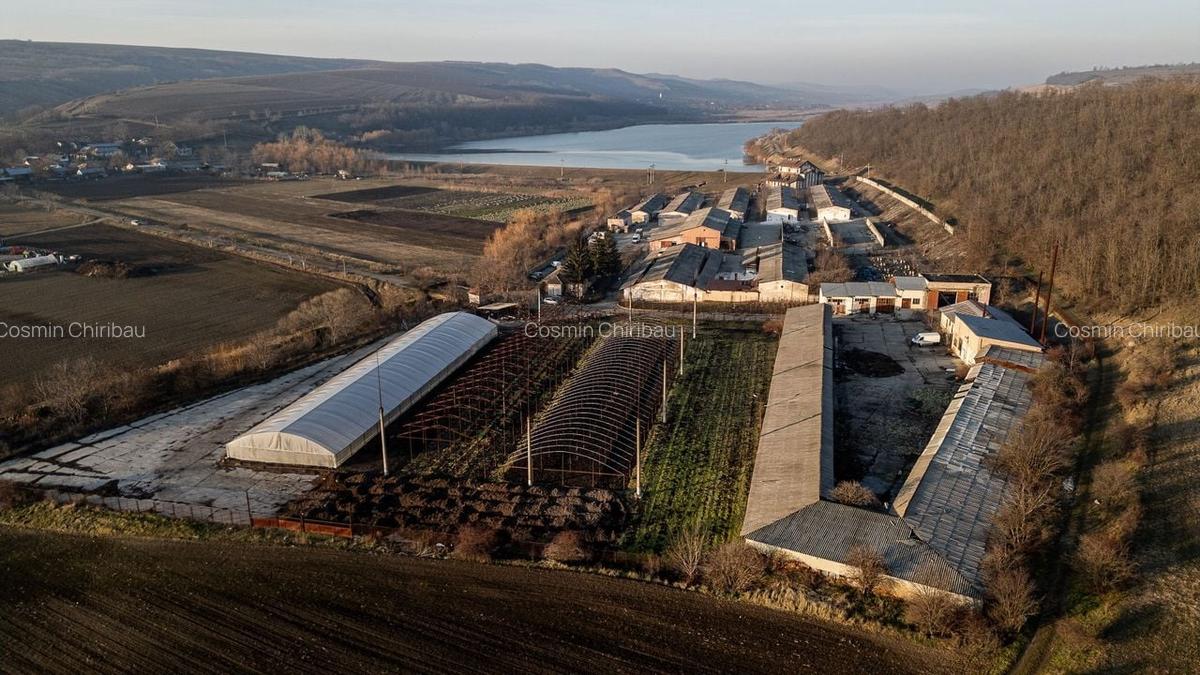 Fosta Ferma a Partidului de la Horgesti - de vanzare - 1