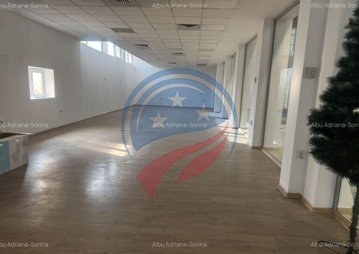 Spatii Comerciale in Craiovita Noua!!! - 15