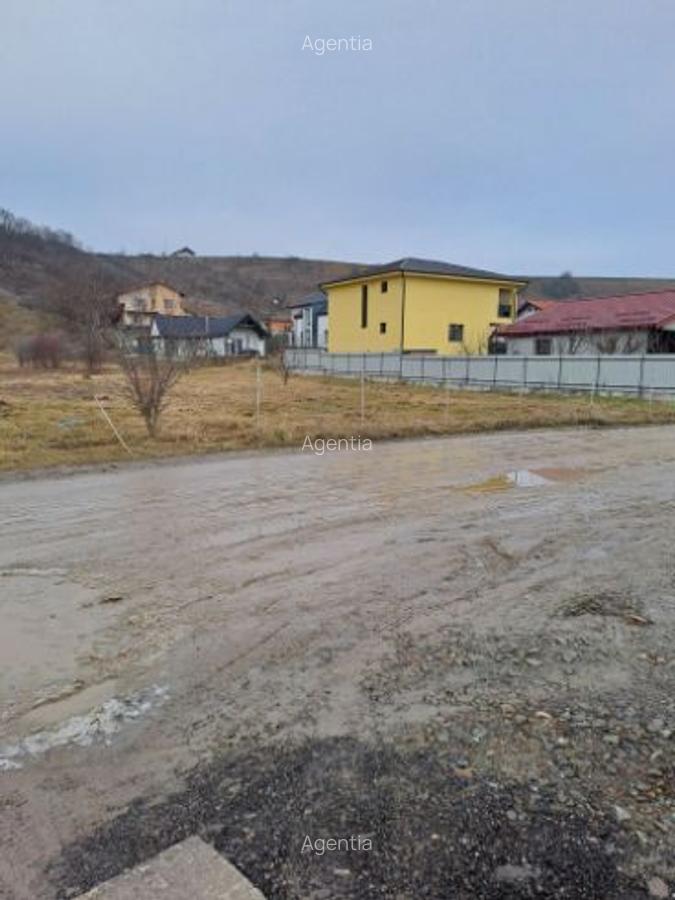 Teren intravilan pentru constructii in Sinnicoara - Sub Coasta, Apahida - 3