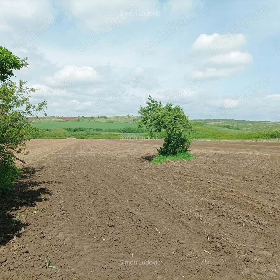 Vind casa cu gradina - 5 Vind casa cu gradina - 5