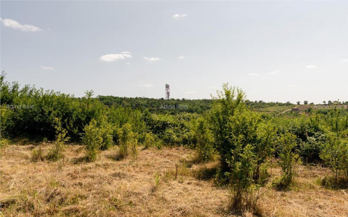 RECO Teren intravilan 1200 mp- front 30ml ,cu utilitati, Pa - 5