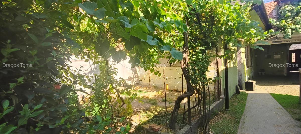 Apartament Piata Traian - 9