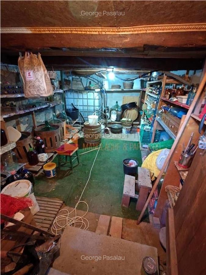 EXCLUSIVITATE! Casa+teren si cabana de lemn zona Naeni - 21