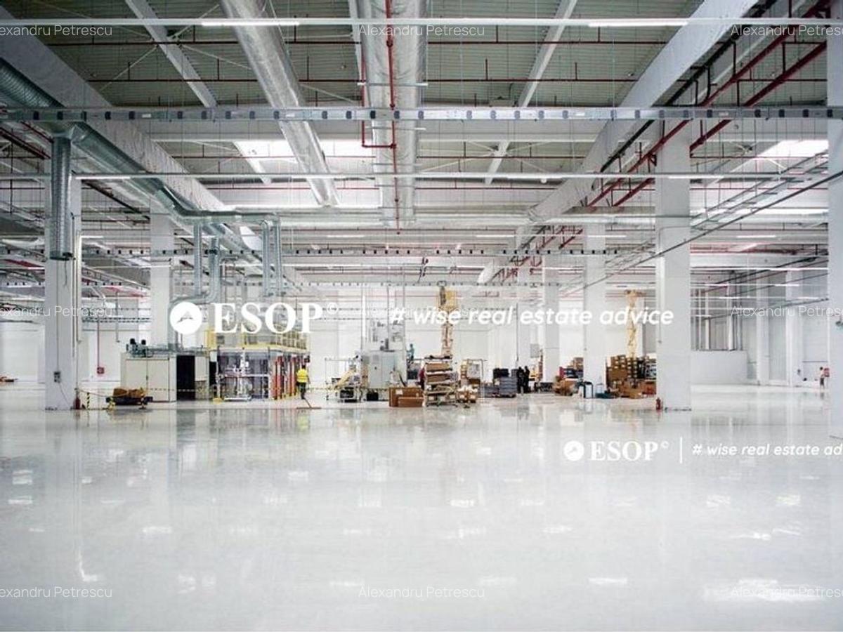 CTPark Pitesti, hale productie, depozitare, logistica, 1150 - 12095mp - 2