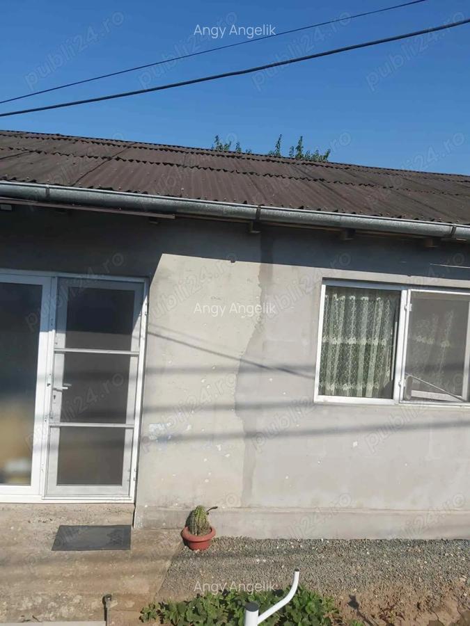 Casa pe pamant de vanzare Valu Traian - 4