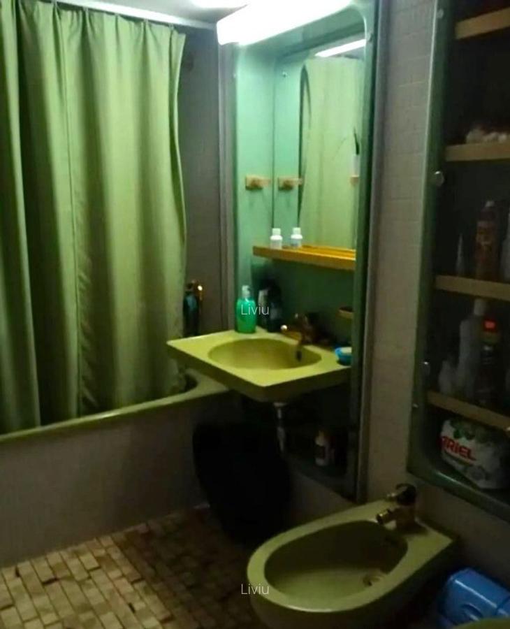 Casa spa?ioasa in Pogoanele, jude?ul Buzau - 13