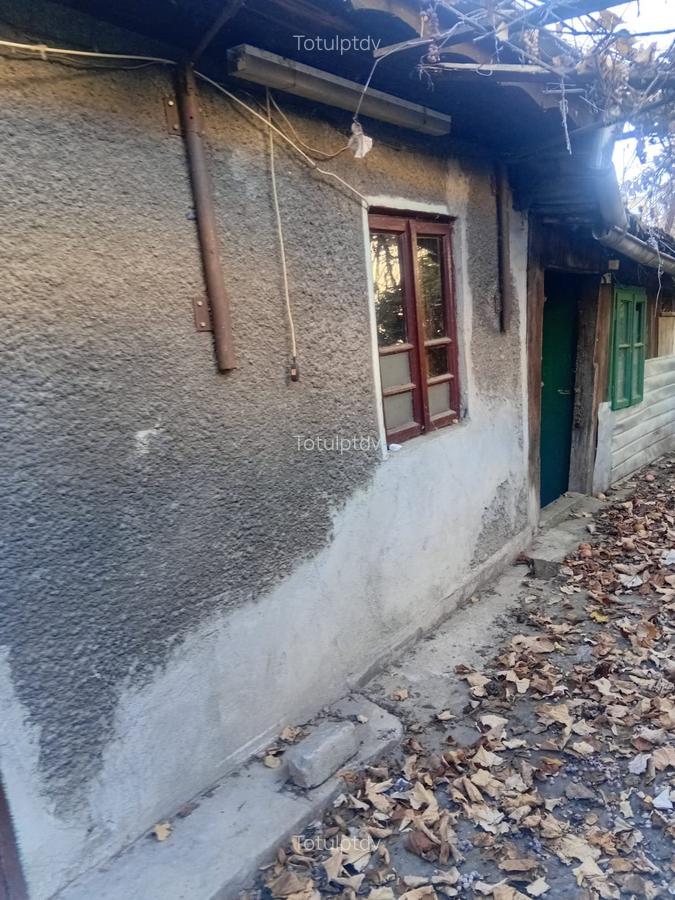 Casa Giulesti  300 mp - 5