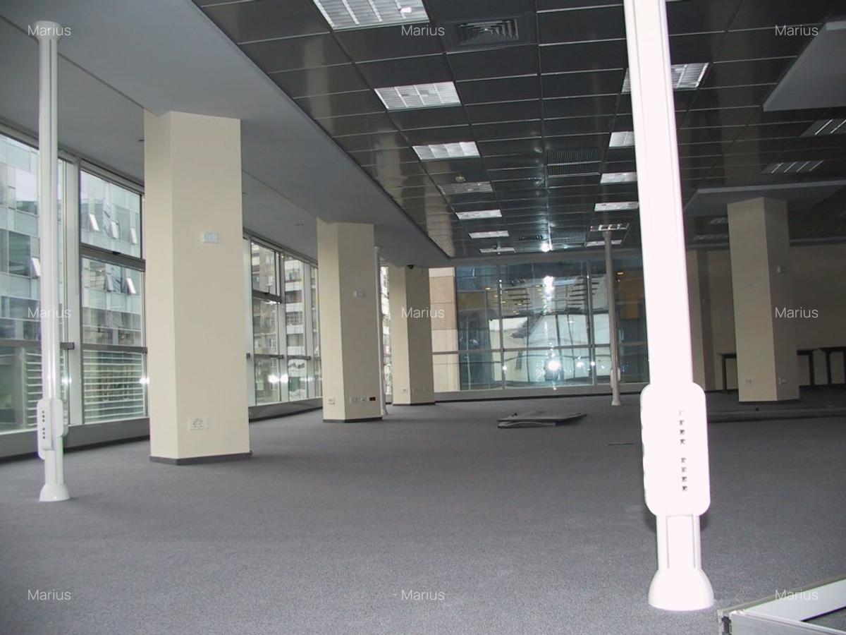 Birouri Victoriei - 2