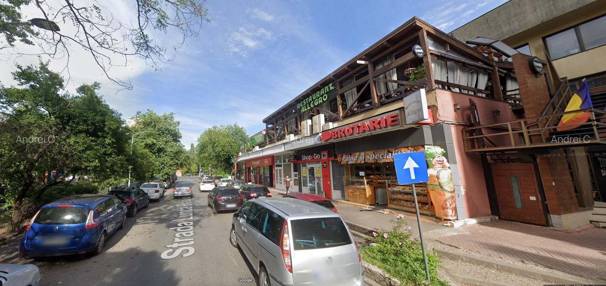 Spatiu comercial 215mp de vanzare – Nicolae Grigorescu - 2