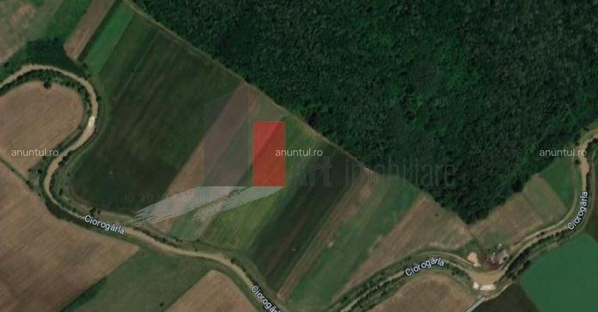 Teren intravilan Padure Joita - 1