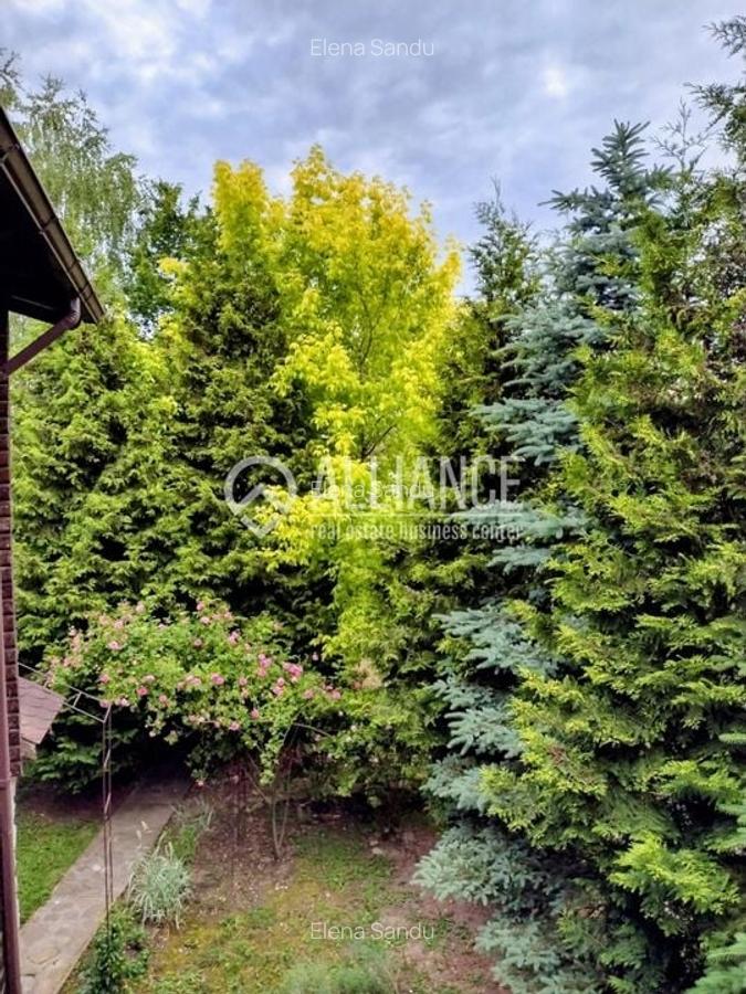 BREBU/PRAHOVA(cod04)-Casa P+1 zona mirifica - 2