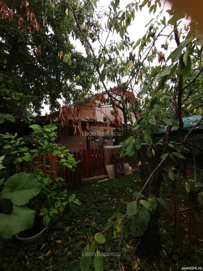 Casa vanzare - 3