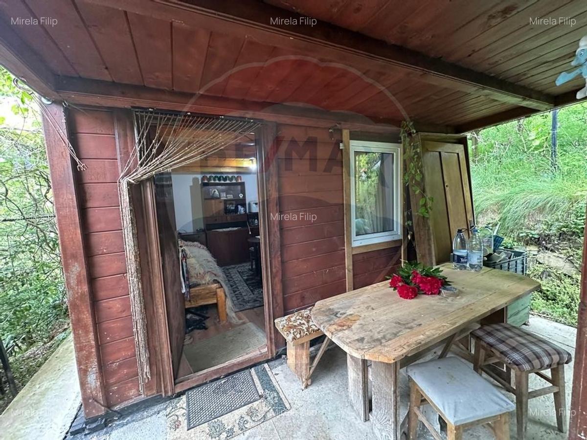 DE VANZARE - Cabana  / casa vacanta in COAS - 5