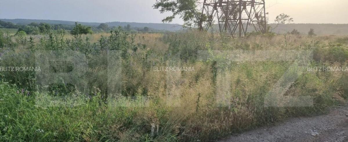 Teren extravilan, zona industriala, 3300 mp - 7