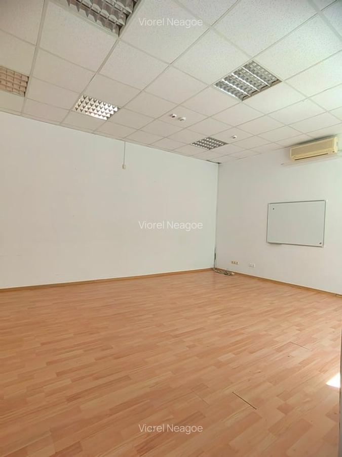 Vila de inchiriat Cismigiu Stirbei Voda - 10