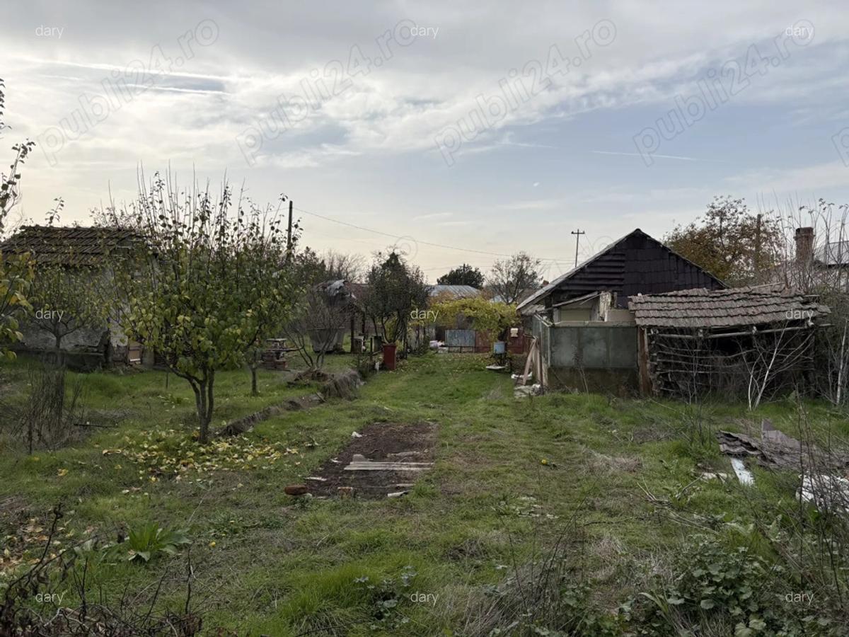 Vand casa locuibila 3 camere sat Vitanesti jud. Teleorman - 5
