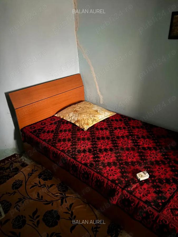 Vand casa la tara - 8