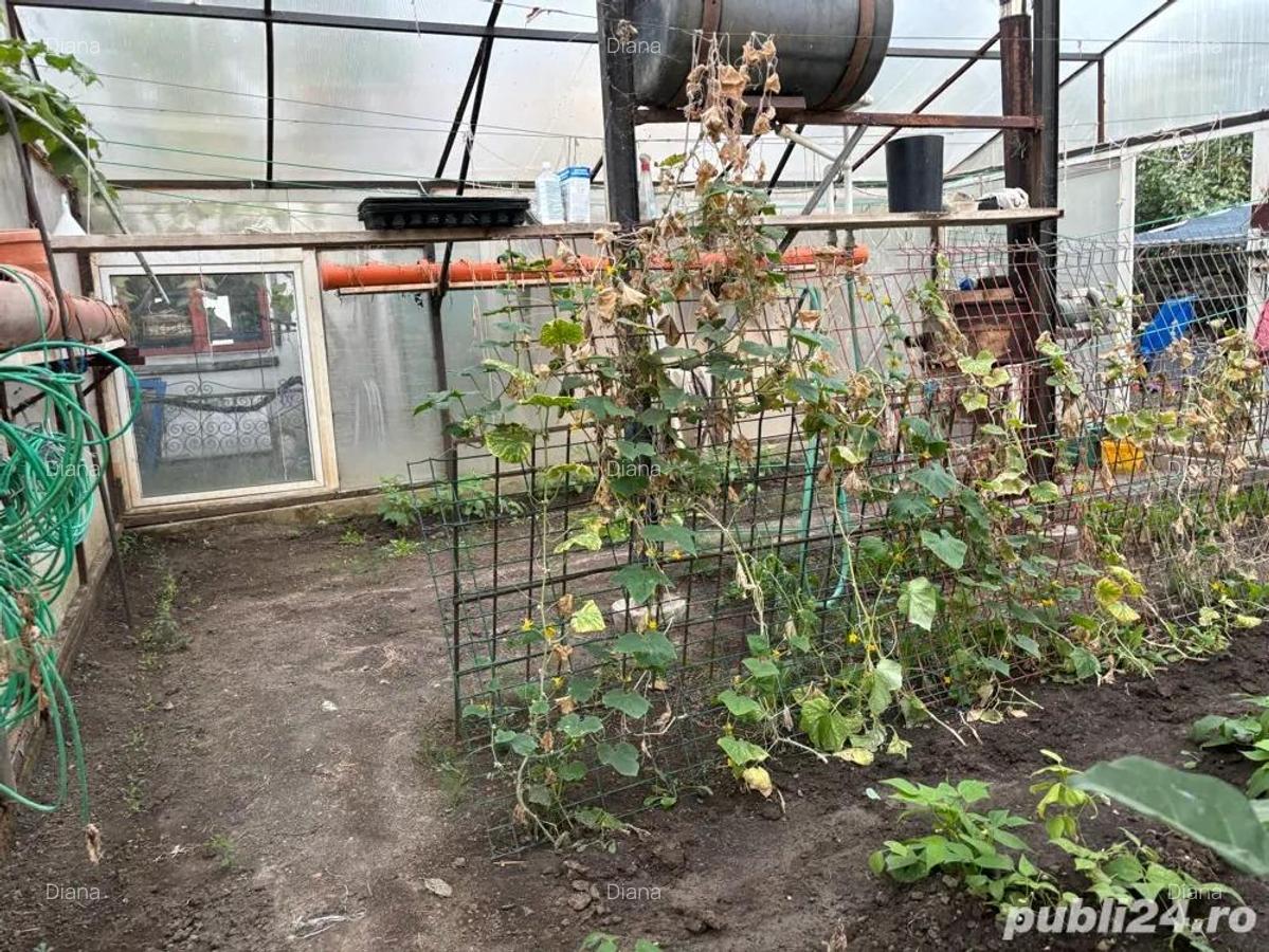 Vand casa in Mehala 390000 euro - 11