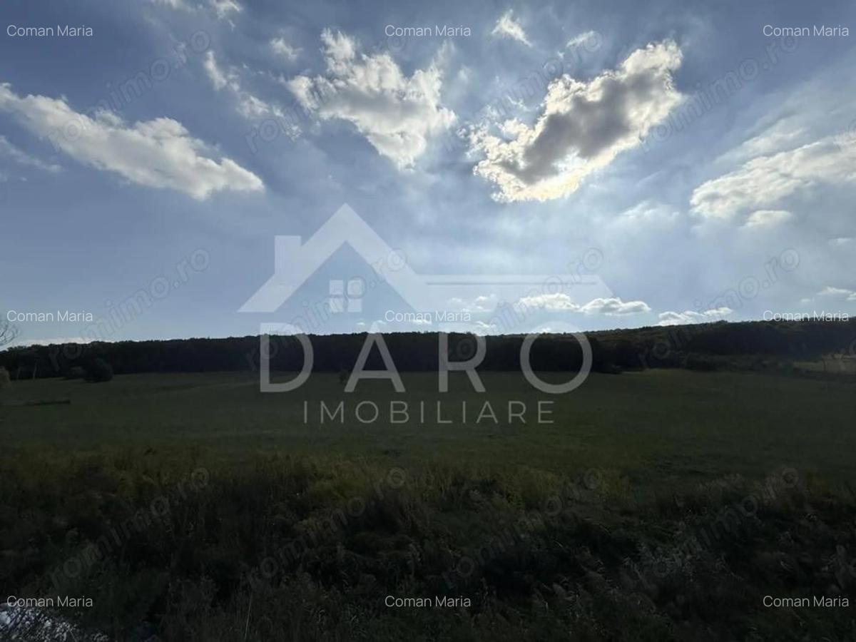 Teren intravilan budiu mic 9700 m2, perfect pentru complex reziden?ial - 2