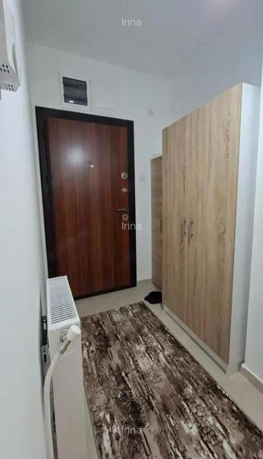 Apartament cu doua camere de inchiriat in zona Drumul Taberei - 4