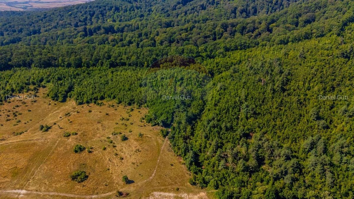 Teren 6,000mp Crizbav / Strada principala - 8