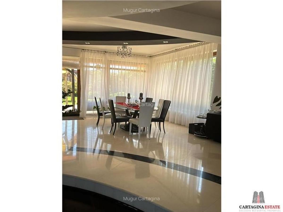 Vila eleganta S+P+1+M - Pipera / Drumul negru / 1170mp teren - 10