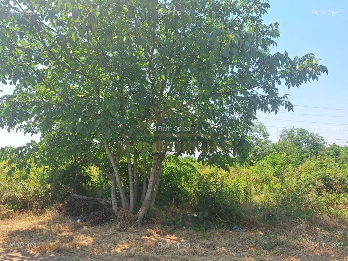 TEREN INTRAVILAN 530 MP-SF AGNES - 5