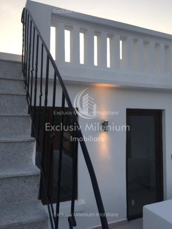 Casă individuală cu 10 camere în Kiseleff - 2