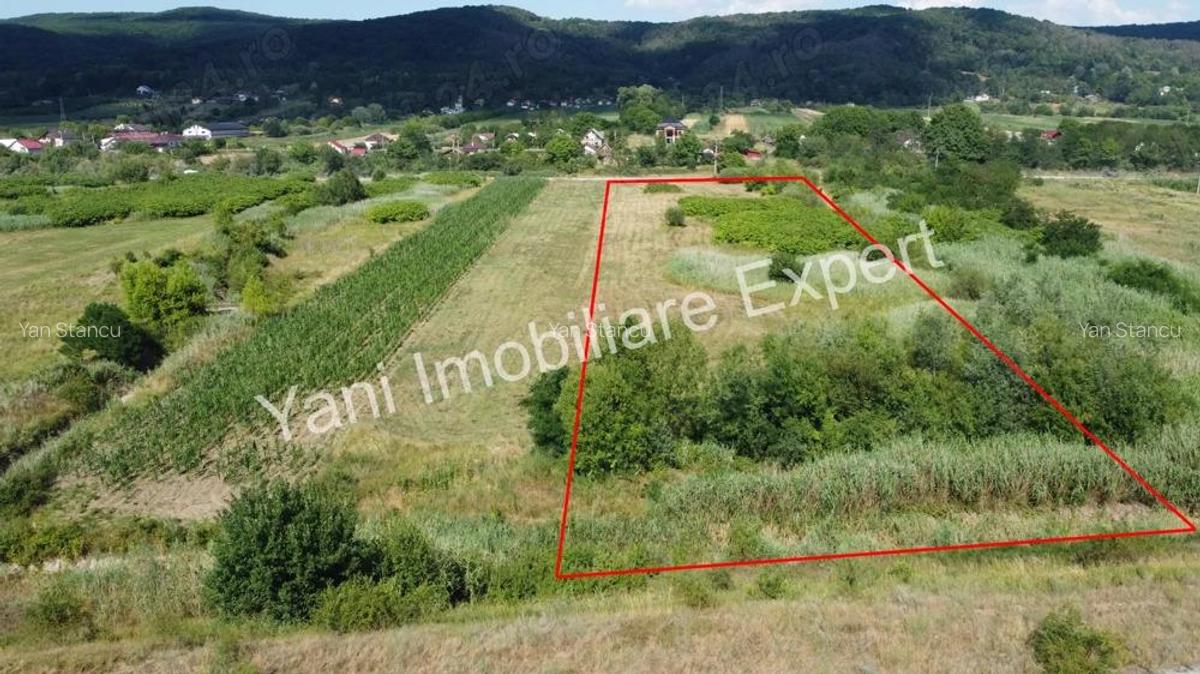 Teren de vanzare in comuna Baicule?ti, Jude? Arge?, in apropiere de fabrica Elemaster. - 13