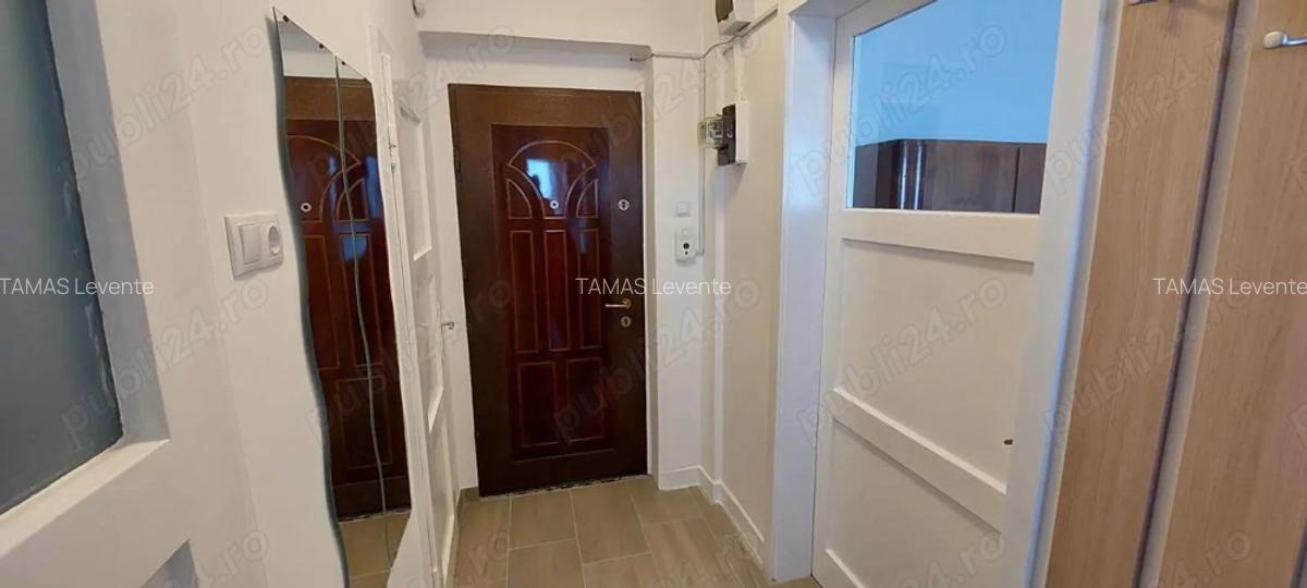 PF Inchiriez Ap 1 Cam str.Horea Centru - 8