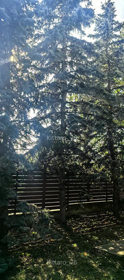 Casa Breaza 139Mp , teren 373mp , acces facil cu strada asfaltata - 50