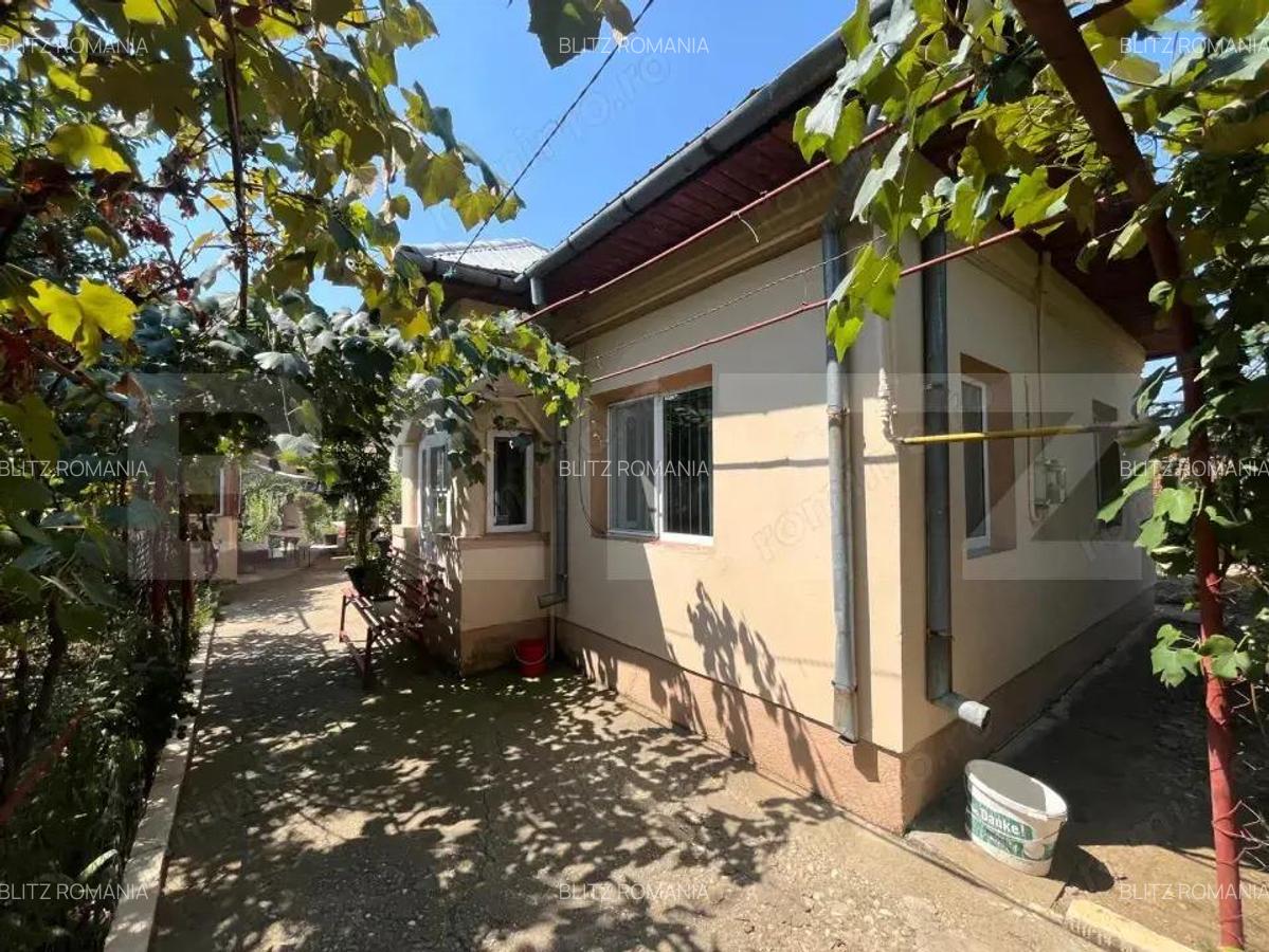Proprietate formata din doua case si 1087 mp teren, zona Carcea - 2