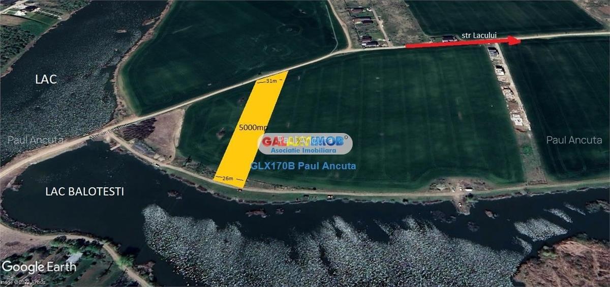 Teren Lac Balotesti 5000 mp intravilan utilitati str Lacului. - 2