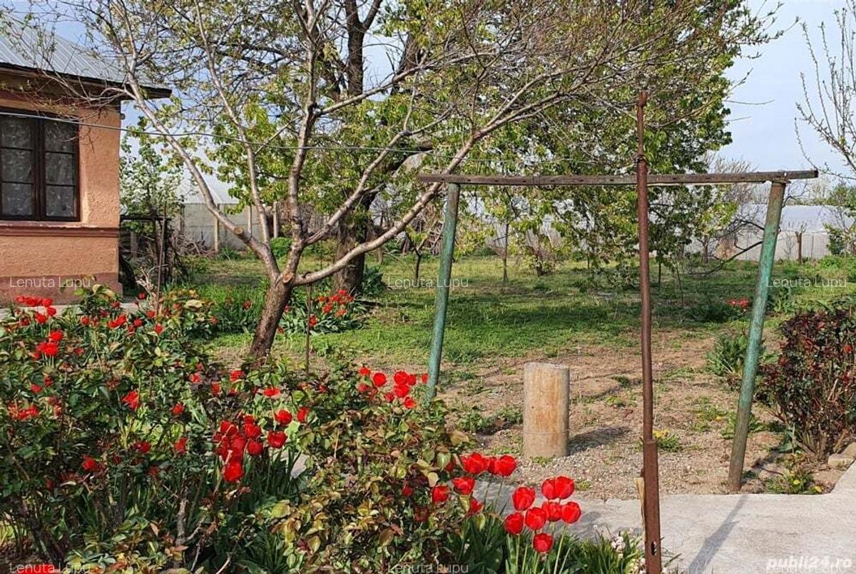 Casa Moldoveni Teleorman - 2