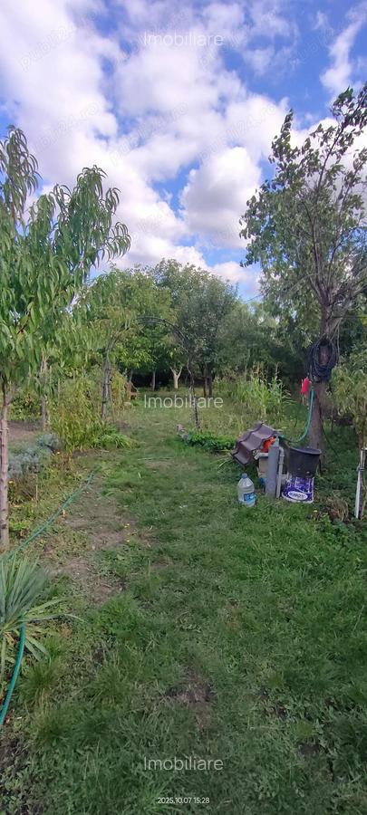 Casa 15 km de Timi?oara de vanzare - 15