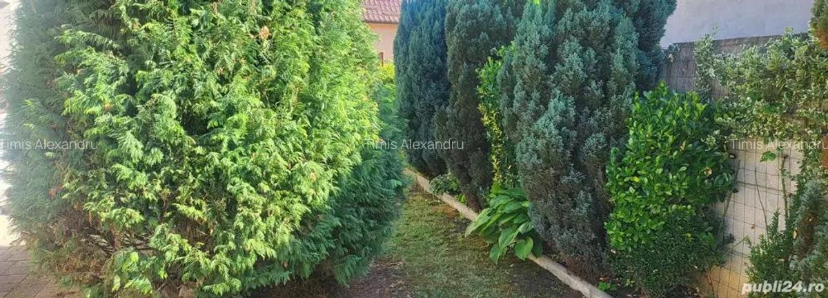 Inchiriez casa in regim hotelier zona centrala. - 4 Inchiriez casa in regim hotelier zona centrala. - 4