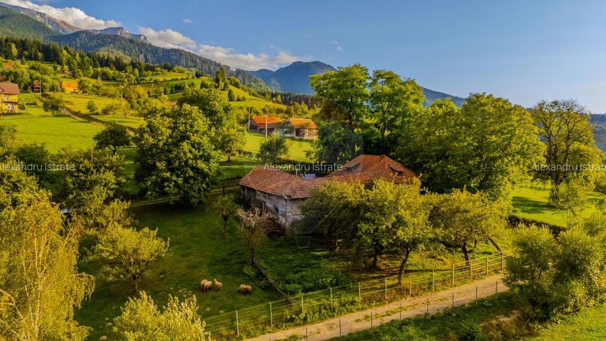 Teren intravilan cu PRIVELISTE UNICA |BRAN, BV| 3,000mp | COMISION 0 | - 9