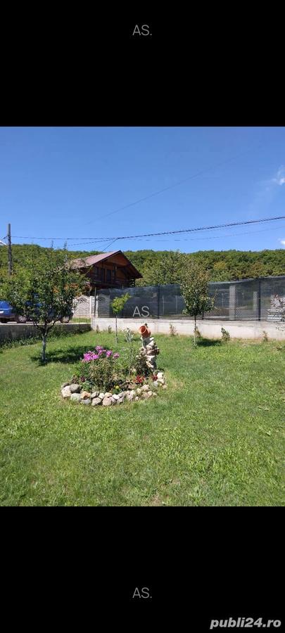 Vand casa - 4
