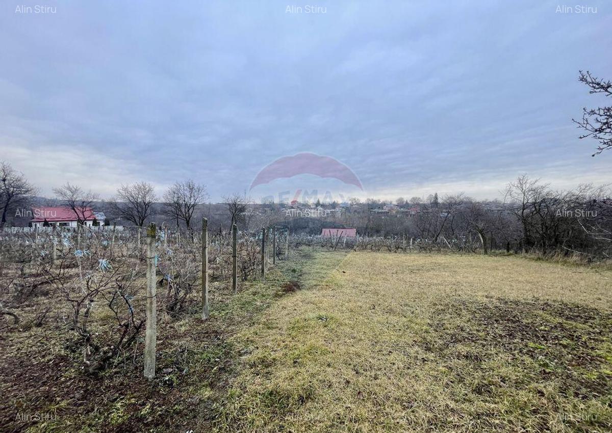 Casa cu teren Neicu/Panciu - 3