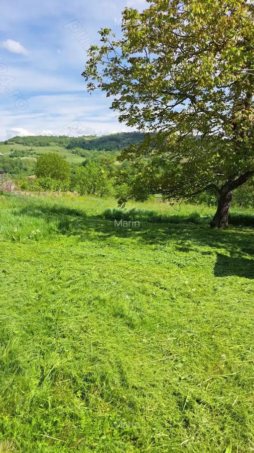 Vand casa Urvi? de Beiu? - 6