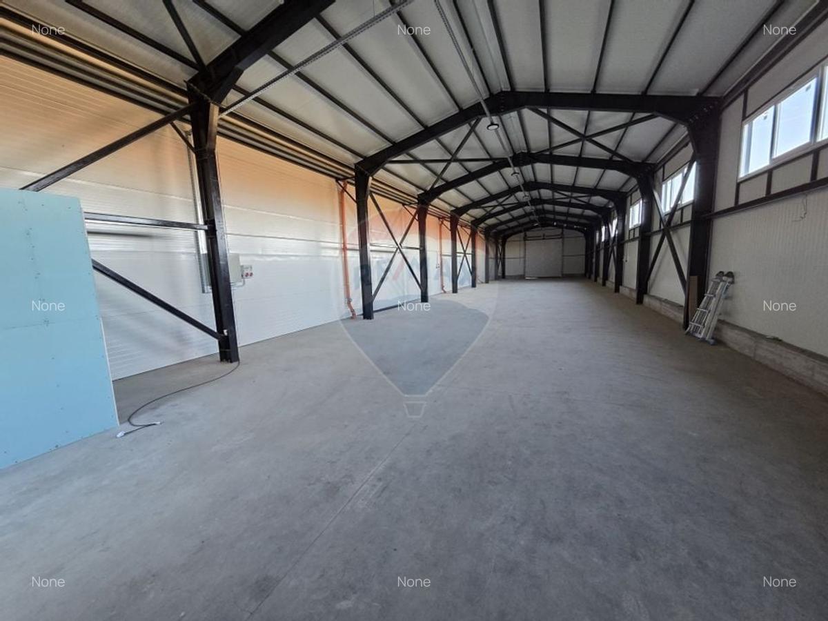 Hala plus spatiu birouri, zona Strada Vrancei - 5