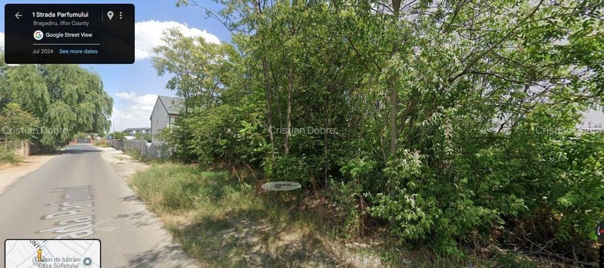Teren Bragadiru Parfumului - 5000 mp - Deschidere 43 - Id... - 6
