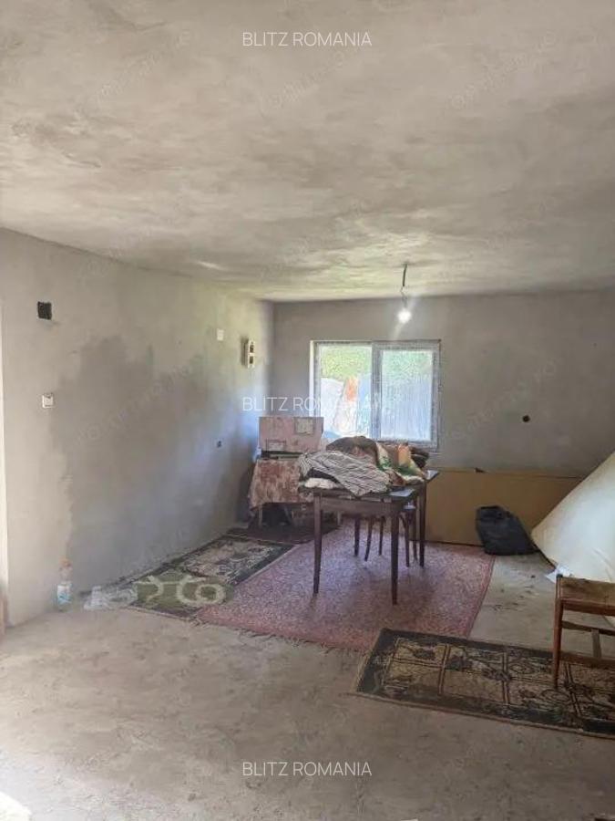 Casa 133 mp utili, 3300 mp teren, Ciutura - 9