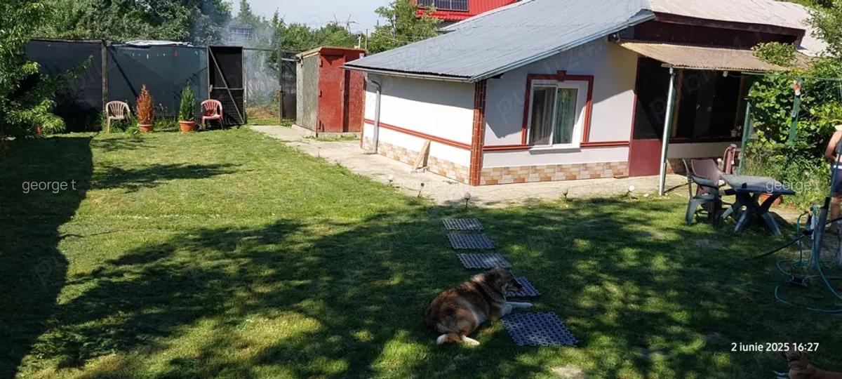 Casa la sosea langa bucuresti 1600mp 100 metri de DN6 E7 30 km de piata unirii - 4