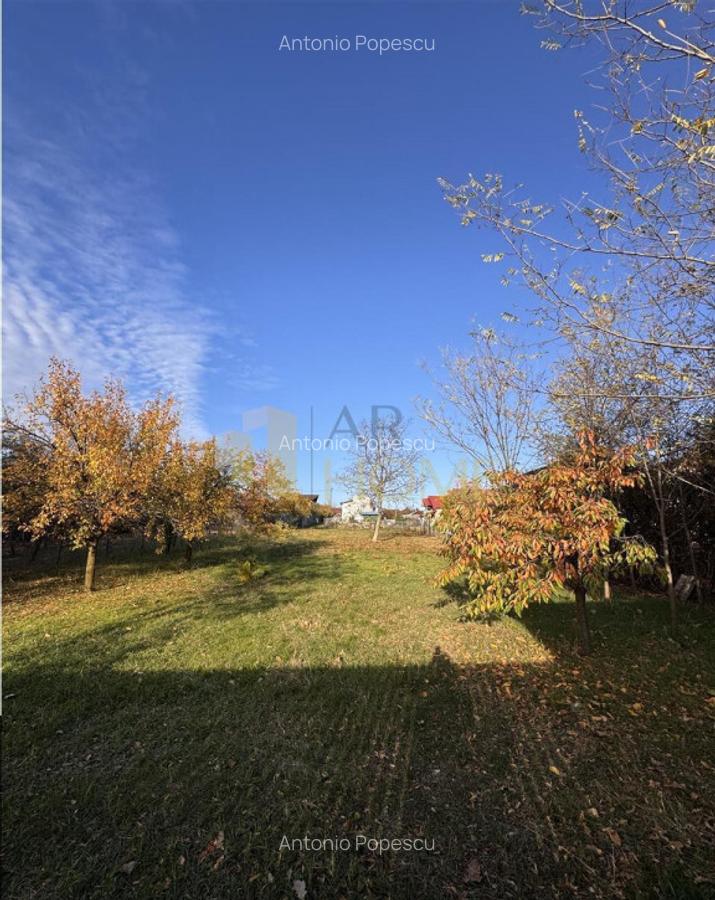 Teren intravilan, in Paulesti, Prahova - 6