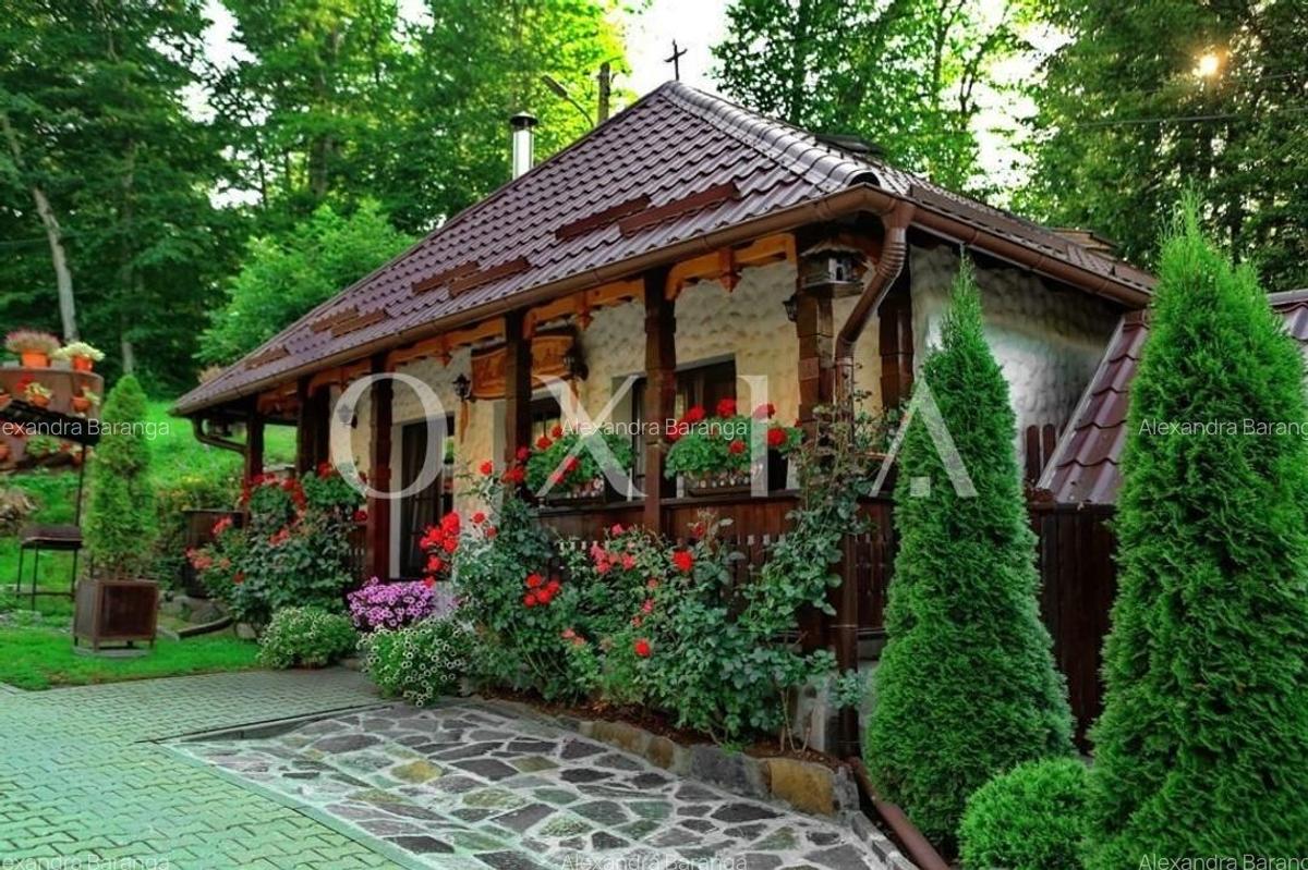 AX949 Pensiune Exclusivista In Inima Statiunii Sovata - 23