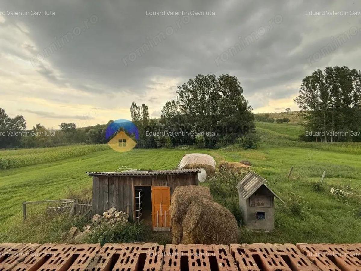 Casa de vanzare - GHINDAOANI - 16